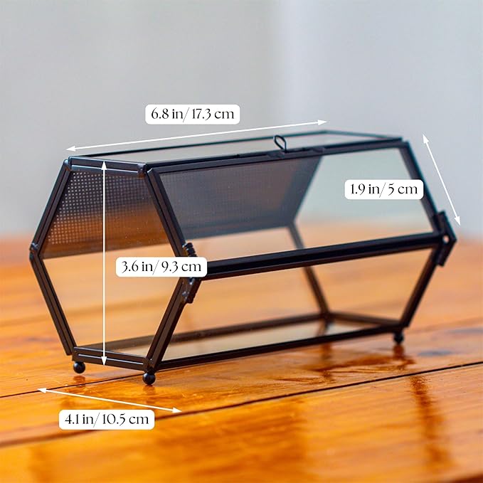 NCYP Small Glass Terrarium Enclosure with Mesh & Door for Tiny Beetle, Jumping Spiders, Hexagon Vented Glass Terrarium 6.8'' x 4.1'' x 3.6'', Indoor Decor, Black (Plants Not Include)