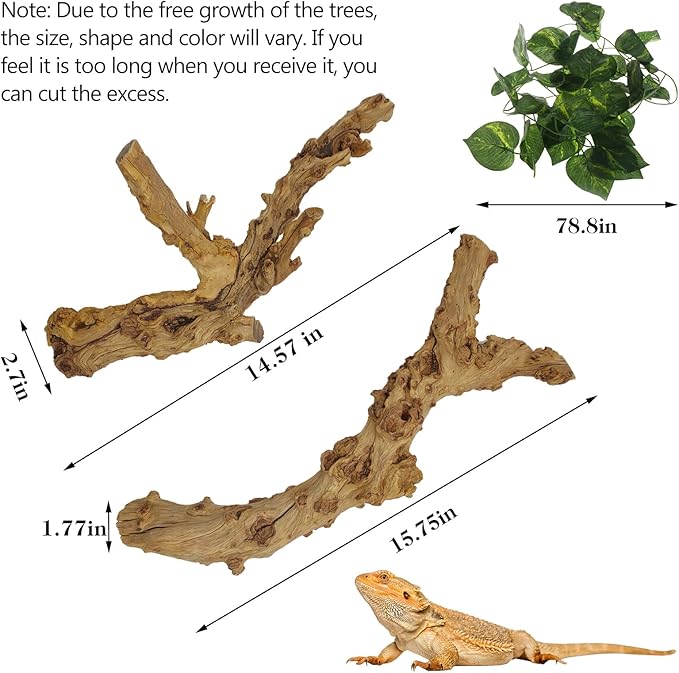 VCEPJH 2 Pack Reptile Wood Branches, Snake Climbing Branch Natural Bearded Dragon Log Tank Accessories Tree Trunk for Chameleon Gecko Snake Frog Spider