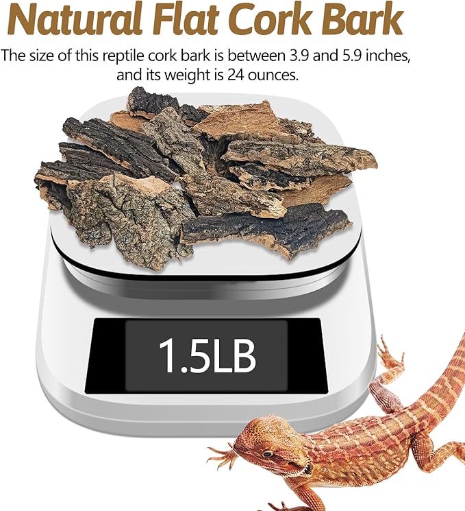 BNOSDM Reptile Cork Bark Substrate 1.5LB Lizard Bedding for Habitat Natural Flat Cork Wood Bulk Terrarium Reusable Bark Pieces for Chameleon, Ball Python, Crested Gecko, Spider, Tortoise, Tree Frog