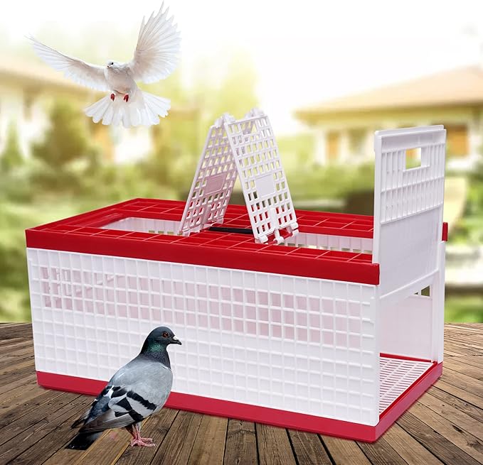 Plastic Transportation Pigeon Cage, 23.62x12.2x10.24 inches Large Space Foldable Pigeon Cage, Racing Pigeon Carrier Box with Handle, Portable Bird Travel Nest Box for Courtyard, Balcony, Lawn