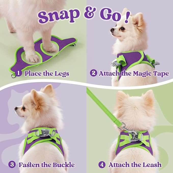 rabbitgoo Dog Harness Small Sized and Leash Set, Step-in Breathable Pet Harness, Soft Walking Reflective Puppy Vest for Small Dogs, Purple & Green, XS