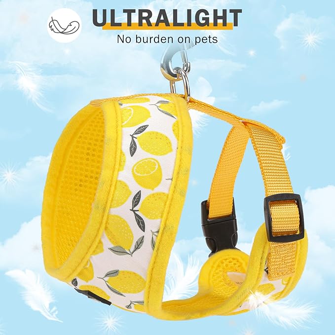 SCENEREAL Small Dog Harness and Leash Collar Set - No Pull Dog Harness for Small & Medium Sized Dogs - Soft Mesh Vest for Puppies, Chihuahua, Yorkie, Spring Summer Hiking Walking, Yellow Lemon S