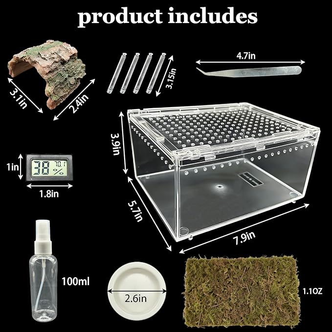 Reptile Terrarium Gecko Tank Tarantula Enclosure Acrylic Spider Terrarium Hermit Crab Tank for Scorpion Insect Isopods Invertebrates Insect (Small)