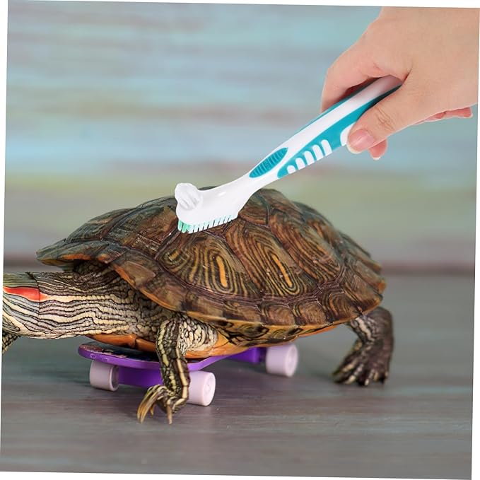 2pcs Turtle Shell Brush Double Sided Cleaning Tool for Aquatic Turtles Tortoises Non Slip Handle for Easy Use Keep Shells Clean Healthy