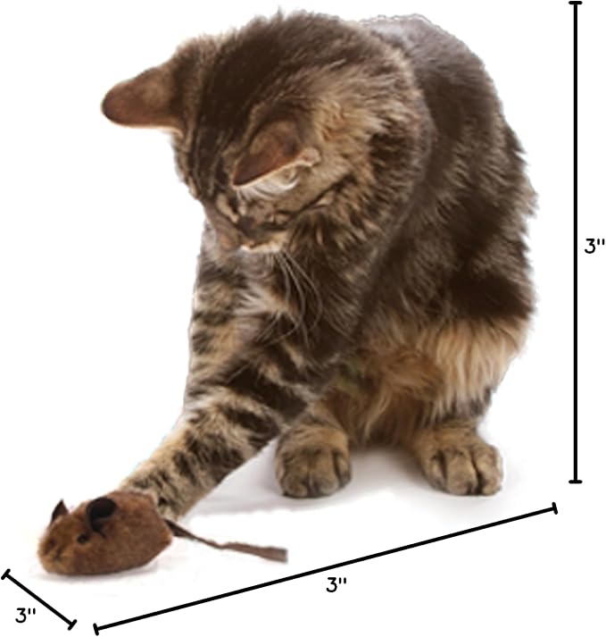OurPets Play-N-Squeak Mouse Hunter Cat Toys with Catnip - Image 7