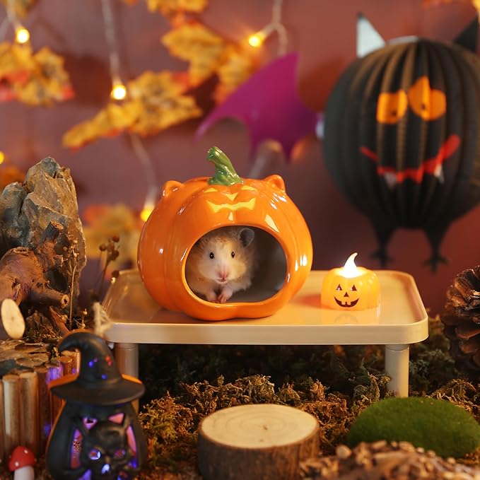 Pumpkin Shaped Ceramic Hamster Hideout - Small Pet House for Syrian Dwarf Hamsters, Gerbils, Mice, Rats