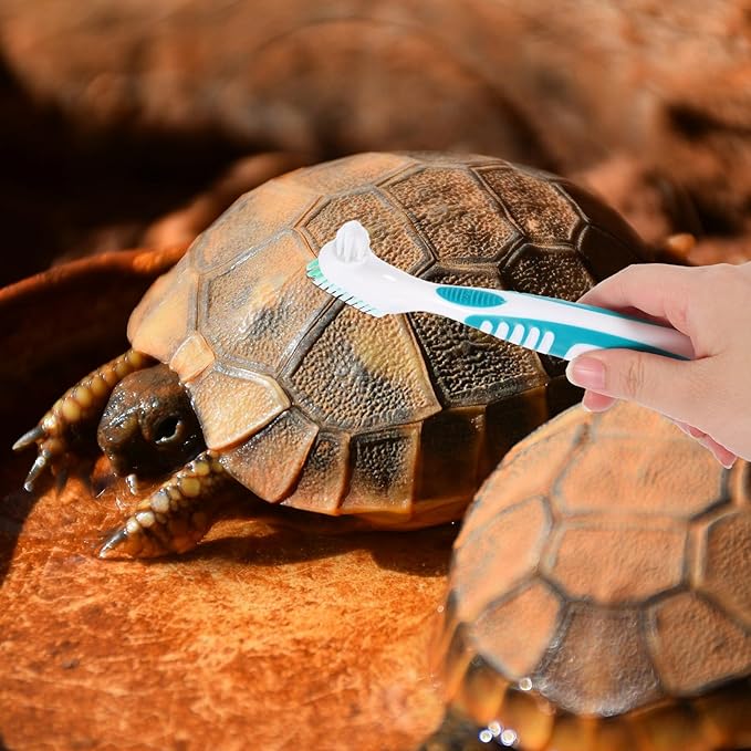 KESYOO 2 x Cleaning Brushes for Aquatic Turtle Shell Double Sided Mini Size Green Portable Mud and Dirt Remover for Aquariums and Home