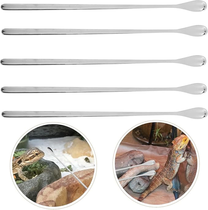 BESPORTBLE 5pcs Lizard Food Scoop Durable Portable Pet Feeding Utensils for Reptiles and Small Animals Lightweight Design for Home and Aquarium Use