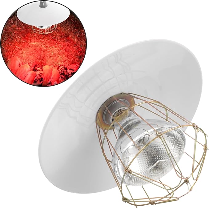 BESPORTBLE Outdoor Heat Lamp for Pets and Chickens Livestock Thermostat Lamp Iron and Glass Material Easy to Install and Remove Wide Application Safe for Animals