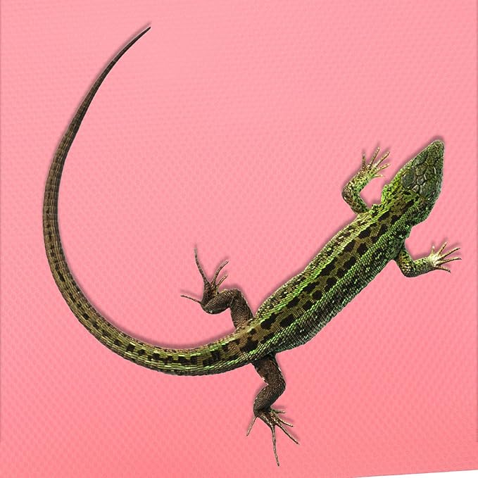 jojofuny Reptile Carpet Substrate Mat for Leopard Gecko Bearded Dragon Snake Tortoise Tank Accessories Foldable Lightweight Terrarium Liner Bedding Suitable for All Reptiles