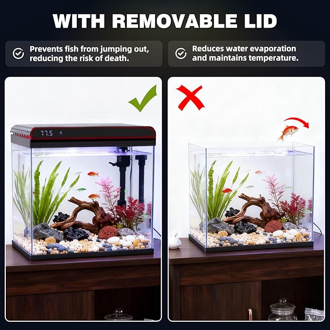 Coospider 20 Gallon Glass Fish Tank, Aquarium Starter Kit, Self-Cleaning Aquarium with 3-Color LED Lights, Quiet Filter Pump, Temperature Monitoring for Fish, Shrimp, Kids Gift Idea