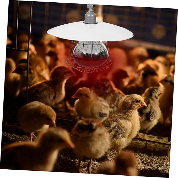 Hemoton Convenient Heating Lamp for Livestock and Reptiles High-Temperature Resistant Easy to Use Ceramic Light with Protective Net Structure for Chickens Ducks Dogs and More
