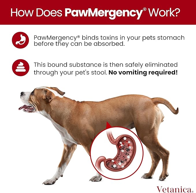PawMergency – Activated Charcoal First Aid Kit Emergency Rescue for Dogs, Cats, Puppy & Pet Poison Kit, Camping Survival Remedy Essential, Oral Anti Diarrhea Digestive Absorb Toxins 5 Pack