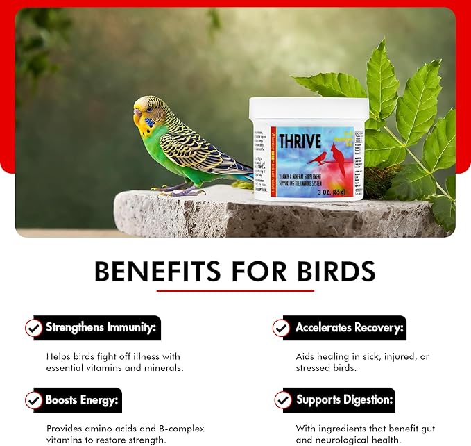 Morning Bird Thrive 3 Oz - Multi-Vitamin Bird Supplement Designed for Immune and Recovery Support - Formulated for Sick or Injured Birds - Protein Supplement and Energy Booster for All Adult Birds