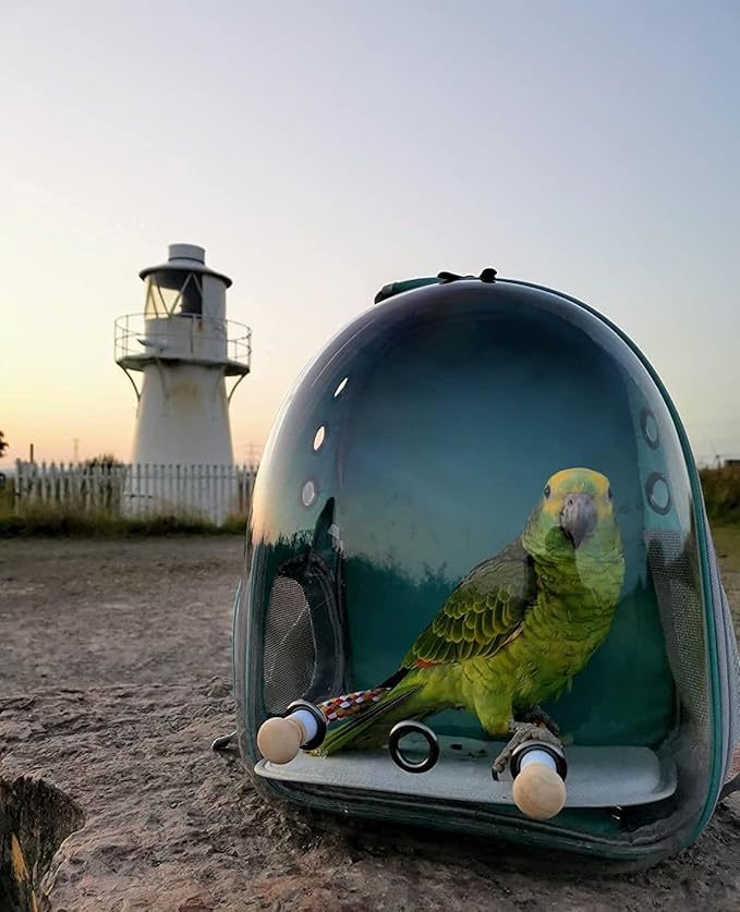 Bird Carrier Backpack, Bubble Bird Travel Carrier Backpack with Stainless Steel Tray and Standing Perch