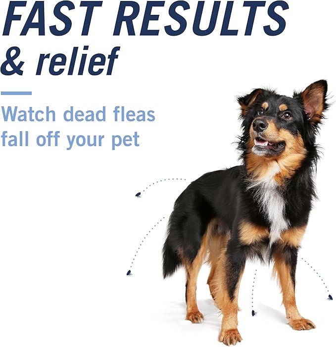 PetArmor CAPACTION Oral Flea Treatment for Dogs (6 Doses) + Bonus PetArmor Plus Topical Flea & Tick Treatment & Preventative for Dogs 25-44 lbs (1 Dose)