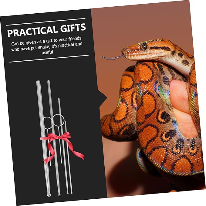 Snake Sexing Tool Snake Probe Tip Set for Reptiles Stainless Steel Material