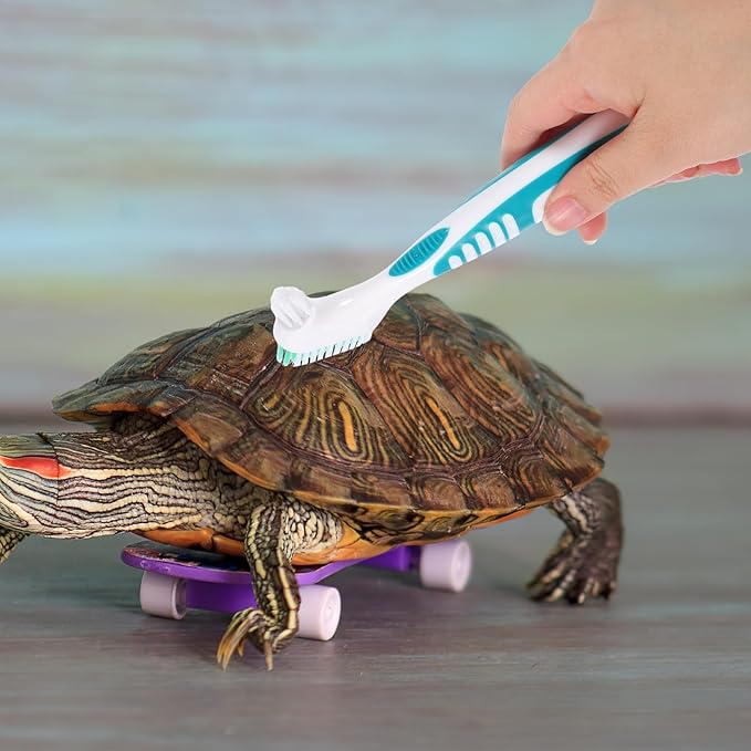 minkissy 2pcs Double-Sided Small Turtle Shell Cleaning Brush Multi-Functional Aquatic Tortoise Mud Remover for Household Reptile Health Maintenance
