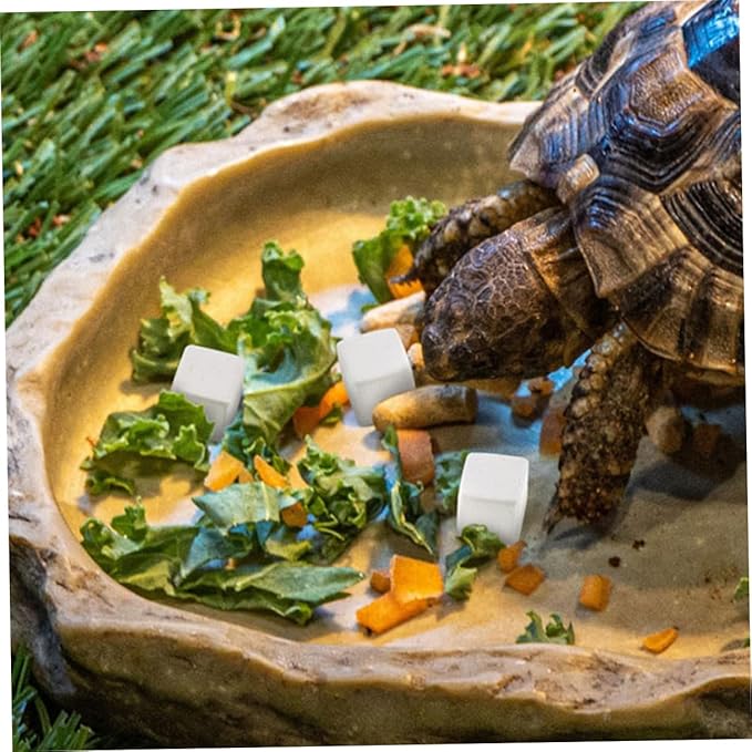 30pcs Natural for Reptiles and Amphibians Supports Growth Bone Strength Health for Turtles Tortoises Lizards Frogs Chameleons Essential Trace Elements for Pet Care