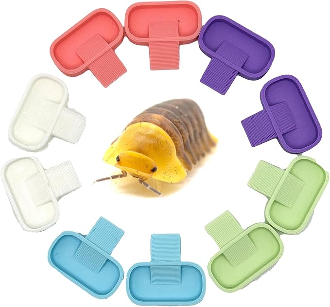 Isopod 10 Pack Feeding Dish | Isopod Food Tray | Insect Dish | Insect Feeder | CTWPets (Pastel Tones)