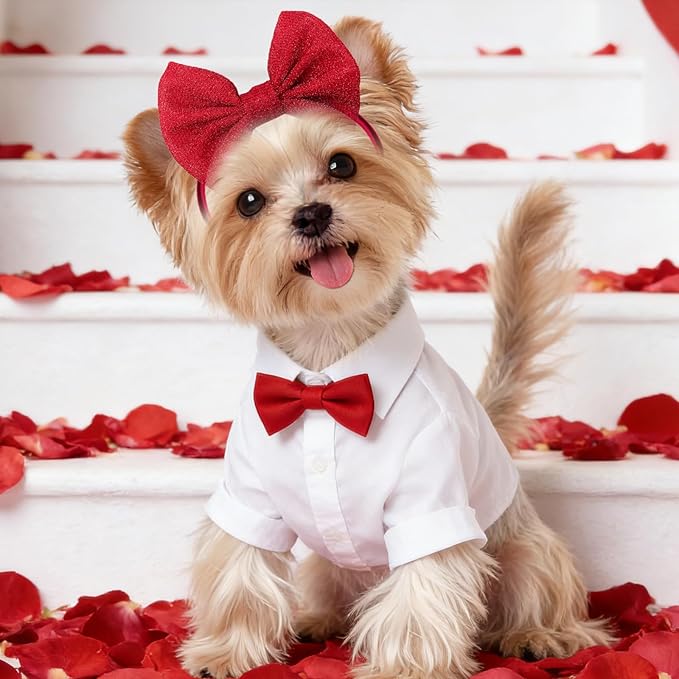 4Pcs Dog Hair Bow Headband for Small Medium Dogs, Adjustable Pet Dog Hair Bow Headband for Pets Puppy Cats Grooming Accessories (Solid Color B, for Puppies)