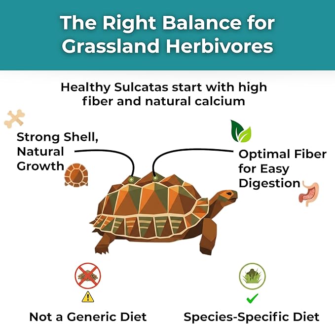 Sulcata Tortoise Calcium Powder - Herpetologist Formulated Calcium Powder for Reptiles with High Fiber - 30 Day Shaker Bottle Supply for Tortoise Lovers!