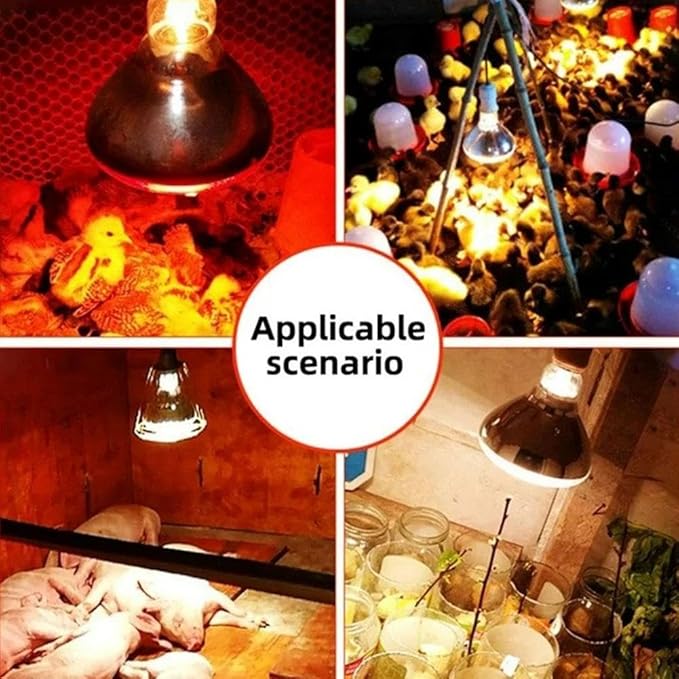 Poultry 220V Infrared Heating Lamp Thermal Preservation Light Bulbs for Reptile Amphibian Pet Livestock 100/150/200/250W