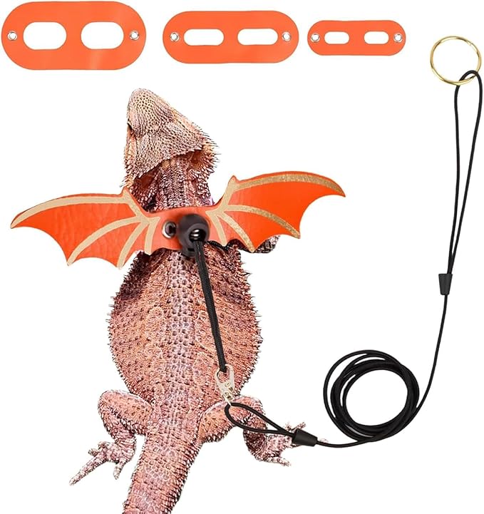 3 Pc Set Leash and Harness for Bearded Dragons - 3 Size Adjustable Cool Leather Lizard Harness with Wings for Reptile Safety Walking Accessories Orange
