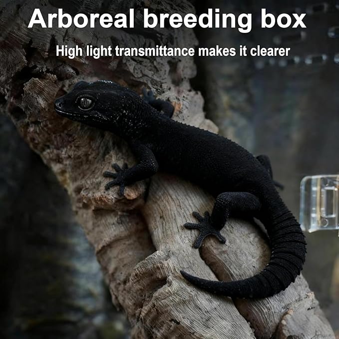 8" x 6"x 3.9" Mini Reptile Terrarium,Small Plastic Terrarium for Lizards Frogs Snakes,Transparent Spider Scorpion Insect Enclosure with Ventilation,for Pet Breeding Molting and Isolation Habitat