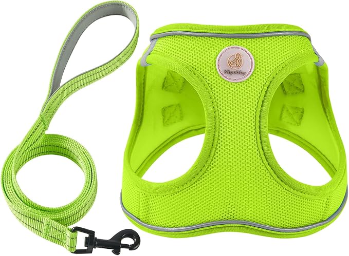Hipubby Dog Harness and Leash Set, No Pull Soft Mesh Puppy Harness for Small Medium Dogs, Cats - Step in Reflective Breathable Lightweight Vest Harness for Walking, Training - Bright Green, M