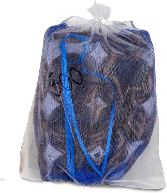 Josh's Frogs Superworms (300 Count)