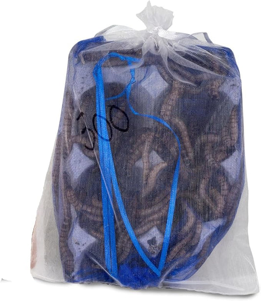 Josh's Frogs Superworms (300 Count)
