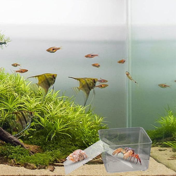2 Pack Transparent Aquarium Tank with Climbing Ramp, Crab Habitat for Small to Medium Hermit Crabs