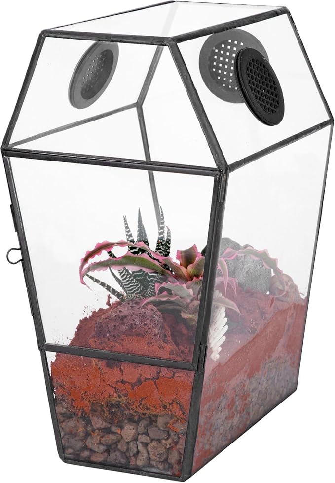 NCYP Gothic Glass Enclosure for Jumping Spider, Snails, Insects - Front Opening Door Geometric Terrarium with Vent Holes, Indoor Tabletop Coffin Shape Decor, Black (Terrarium Only)