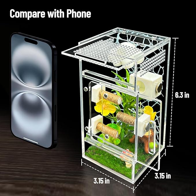 Jumping Spider Enclosure,DIY Insects Habitat,Small Reptile Terrarium Glass House Accessories Set,with Jumping Platform Hide Climbing Net(Green 2)