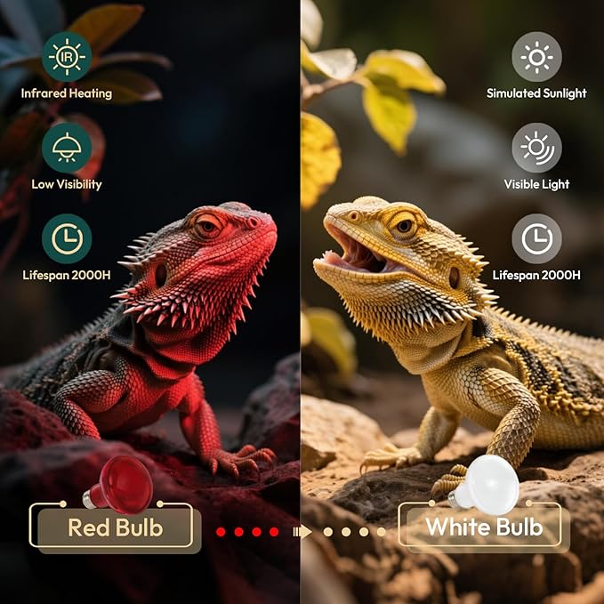 ALAMPEVER 2 Pack Red Heat Lamp Bulb, 100 Watt Infrared Light Bulb for Bearded Dragon, E26 Base, Durable Reptile Heat Bulb for Amphibian, Lizard, Tortoise, Gecko