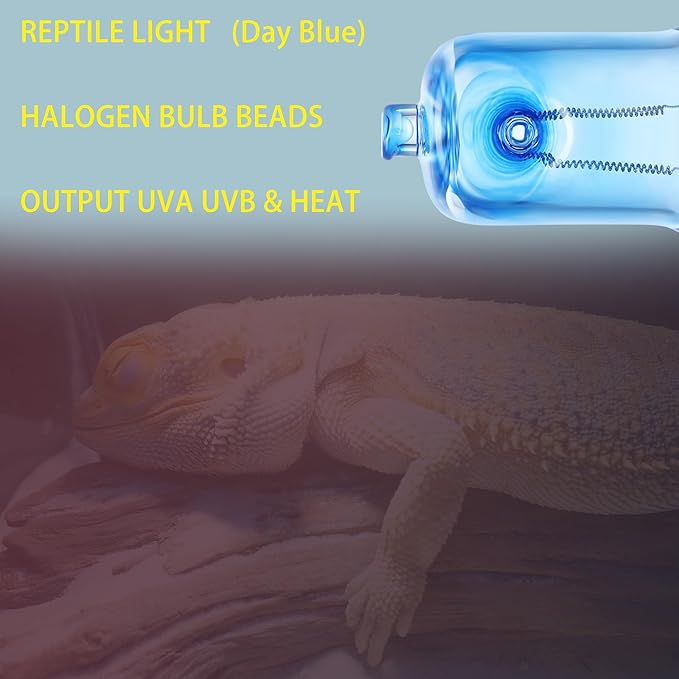 3 Pack UVA UVB Reptile Light Halogen Bulbs Beads Heat Lamp (25 Watt) Day Blue