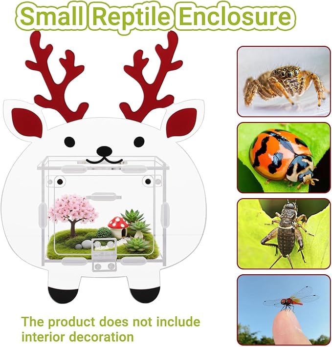 Acrylic Jumping Spider Enclosure with Magnetic Door - 4.7"x4.7"x3.5" Escape-Proof Habitat, Front Opening Terrarium for Tarantula, Reptiles & Insects