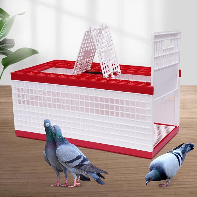 Plastic Foldable Pigeon Cage with Handle, Portable Bird Travel Carrier Cage, Pairing Cages, Pigeon Nest Box w/2 Top Department, Easy to Clean for Training and Release Competition (24"x12"x10")