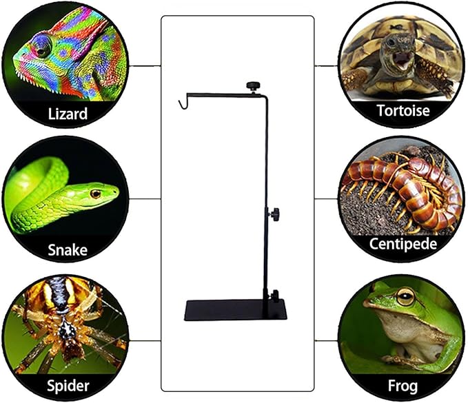 Reptile Light Fixture Holder - Reptile Heat Lamp Stand, Heat Lamp Holder | Desk Light Stand for Use with Reptiles Illumination Device Fixtures and Terrariums, Reptiles, Amphibians, Small Animals