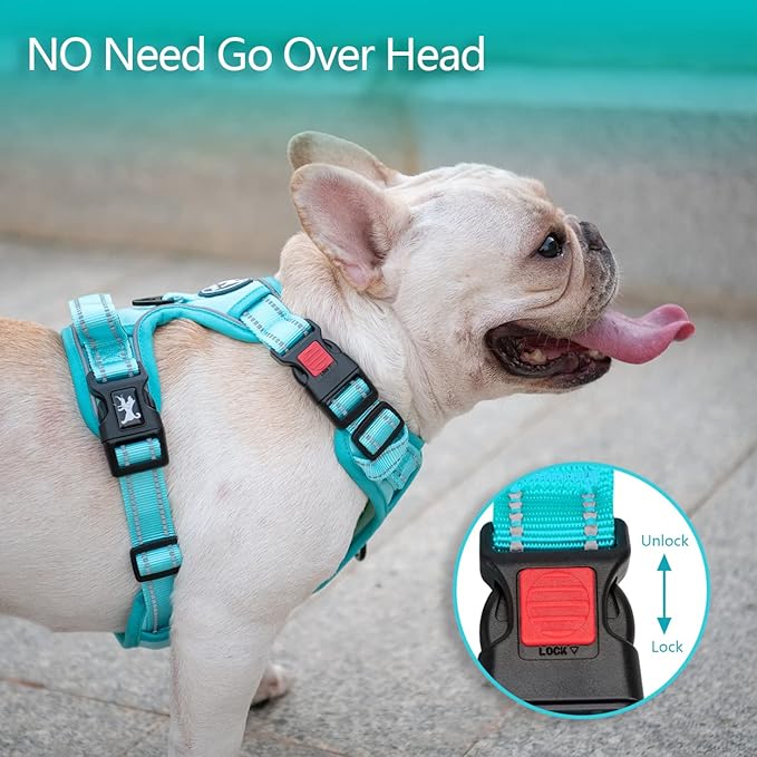 PoyPet No Pull Dog Harness, No Choke Reflective Dog Vest, Adjustable Pet Harnesses with Easy Control Padded Handle for Small Medium Large Dogs(Mint Blue Matching Trim,XS)