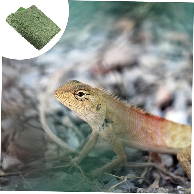 Abaodam 2pcs Reptile Decor Lizard Carpet Moss Reptile Mat Snake Tank Liner Washable Reusable
