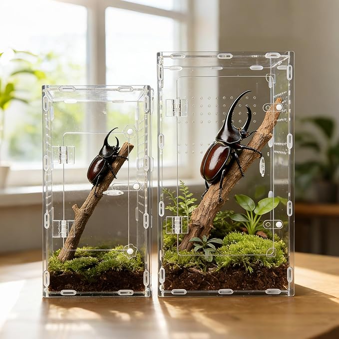 Acrylic Jumping Spider Enclosure, Transparent Reptile Terrarium Enclosure, Small Reptiles Habitat Tank Breeding Box for Tarantula Insect Snake Lizard (13.78 Large)