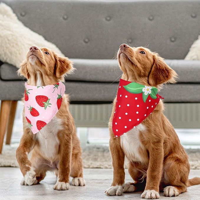 JarThenaAMCS 2Pcs Strawberry Dog Bandana Cute Summer Fruit Theme Triangle Pet Scarf Red Pink Adjustable Pet Neckerchief Bibs for Cat Dog Birthday Costume Accessories