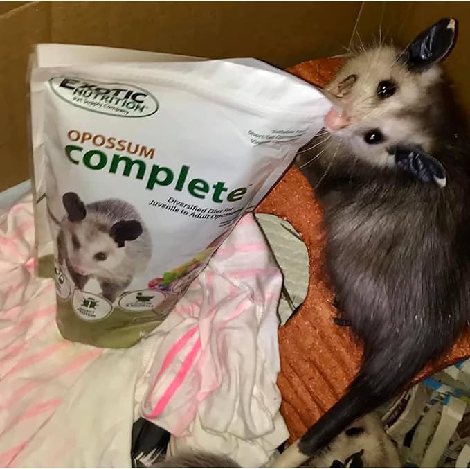 Exotic Nutrition Opossum Complete 4 LB | Nutritional Healthy Pellet Diet | Food for Short-Tailed & Virginia Opossums
