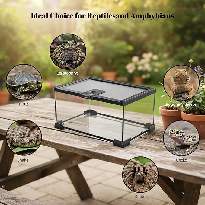 12"x8"x6" Mini Reptile Glass Terrarium Set (7 Pcs) Full View Hermit Crab Tank, Habitat Enclosure with Feeding Slot & Lock for Lizard, Bearded Dragon, Snake, Amphibians & Small Pets