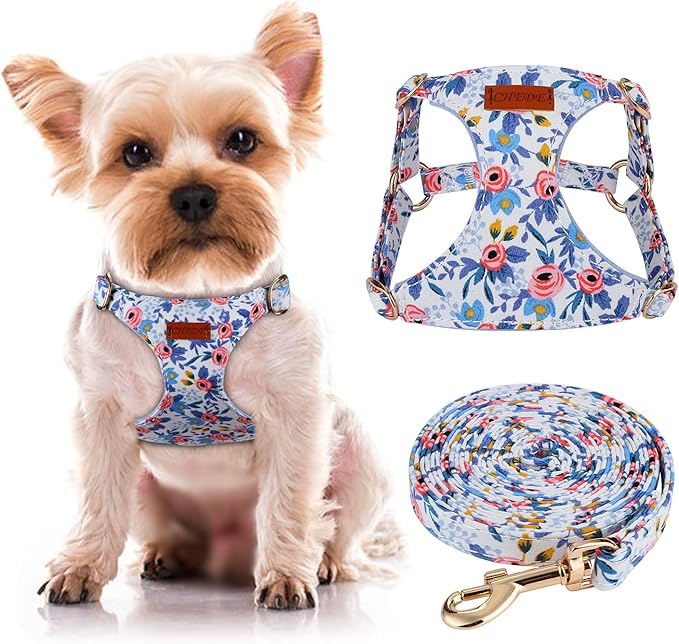 CHEDE No Pull Floral Pattern Dog Harness- Lightweight and Soft Harness, Adjustable Small Dog Harness and Leash Set, with Dog Leash, Suitable for Puppy Small and Medium-Sized Dog (XXS, Blue Rose)