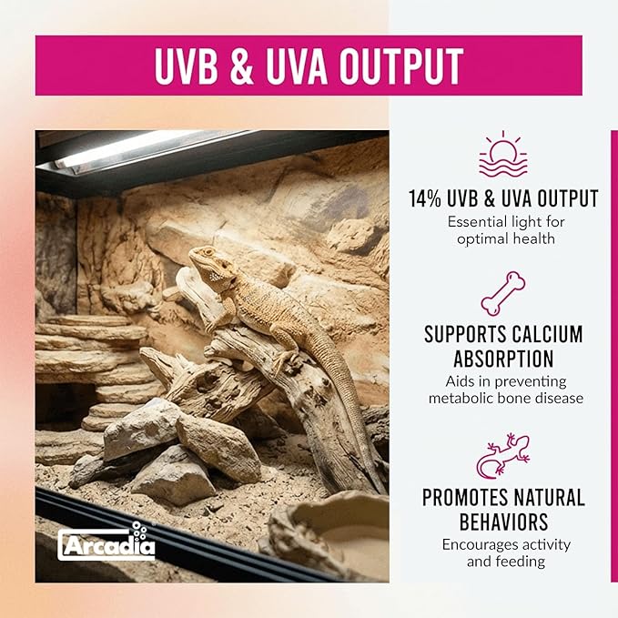 Arcadia T5 UVB Reptile Light Fixture Kit 36" Long 39 Watts 14% UVB Dragon – Complete UVB Light for Reptiles, Turtles, Snake, Bearded Dragon Lamp, Long Lasting Easy to Use Professional Lighting