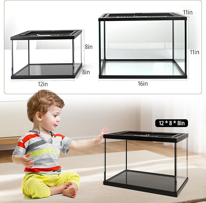 5-in-1 Small Reptile Glass Terrarium Kit 12x8x8in Full View Reptile Enclosure Tank w/Thermo-Hygrometer, Hide & Tongs for Jumping Spiders, Tarantulas, Hermit Crabs & Dwarf Geckos