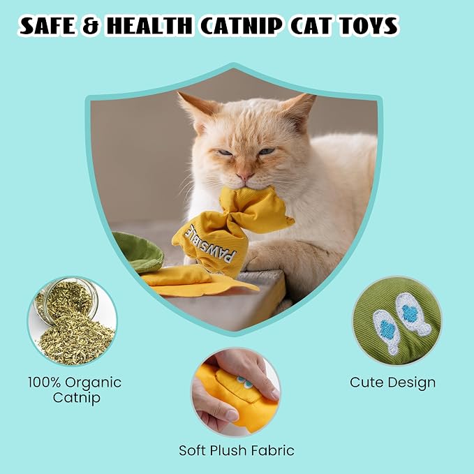 Pawsible 3 Pack Ravioli Catnip Toys for Indoor Cats, Interactive Cat Toys Filled with 100% Organic Catnip, Plush Chew Toys for Kittens, Teething Soft Catnip Toys for Cats - Image 6